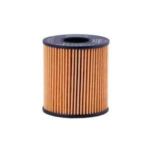 فيلتر روغن خودرو امان مدل AFLE0105/A پایه کوتاه